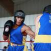 Syracuse-area Golden Glove boxers entertain the fans on the Museum Grounds